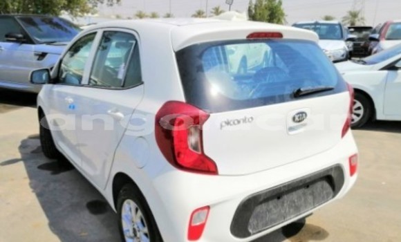 Comprar Novo Kia Picanto Branco Carro em Luanda em Luanda Province Comprar Novo Kia Picanto Branco Carro em Luanda em Luanda Province