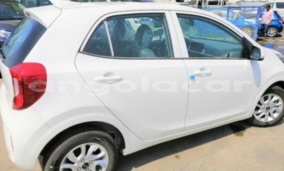 Comprar Novo Kia Picanto Branco Carro em Luanda em Luanda Province Comprar Novo Kia Picanto Branco Carro em Luanda em Luanda Province