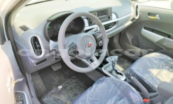 Comprar Novo Kia Picanto Branco Carro em Luanda em Luanda Province Comprar Novo Kia Picanto Branco Carro em Luanda em Luanda Province