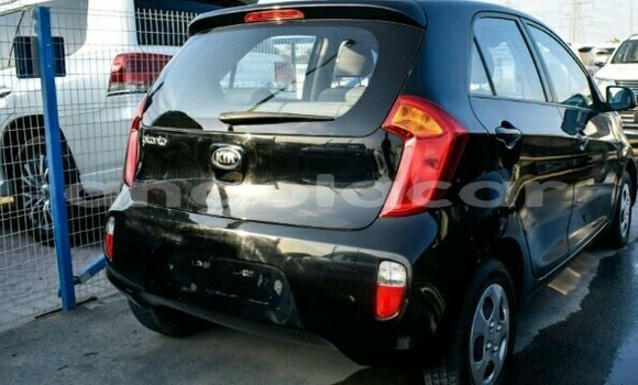 Buy New Kia Picanto Black Car in Luanda in Luanda Province Buy New Kia Picanto Black Car in Luanda in Luanda Province