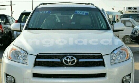 Buy New Toyota RAV4 White Car in Luanda in Luanda Province Buy New Toyota RAV4 White Car in Luanda in Luanda Province