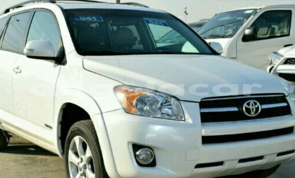 Buy New Toyota RAV4 White Car in Luanda in Luanda Province Buy New Toyota RAV4 White Car in Luanda in Luanda Province