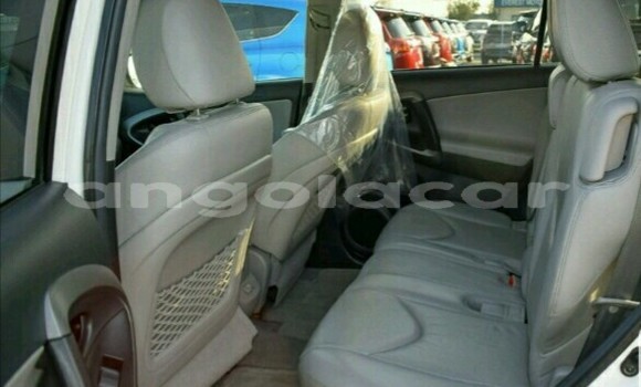 Buy New Toyota RAV4 White Car in Luanda in Luanda Province Buy New Toyota RAV4 White Car in Luanda in Luanda Province