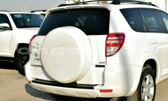 Buy New Toyota RAV4 White Car in Luanda in Luanda Province Buy New Toyota RAV4 White Car in Luanda in Luanda Province