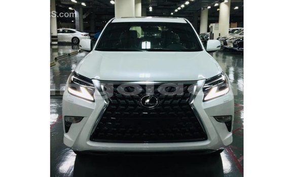 Comprar Importar Lexus GX Branco Carro em Import - Dubai em Bengo Province Comprar Importar Lexus GX Branco Carro em Import - Dubai em Bengo Province