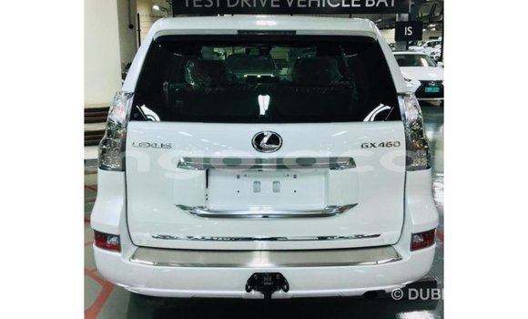 Comprar Importar Lexus GX Branco Carro em Import - Dubai em Bengo Province Comprar Importar Lexus GX Branco Carro em Import - Dubai em Bengo Province