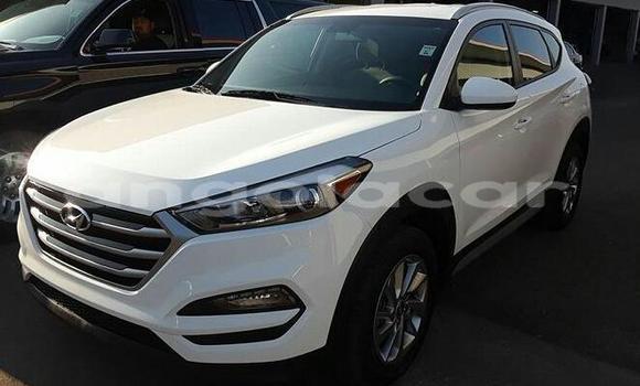 Comprar Usado Hyundai Tucson Branco Carro em Luena em Moxico Comprar Usado Hyundai Tucson Branco Carro em Luena em Moxico
