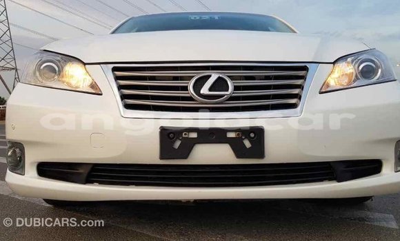 Comprar Importar Lexus ES Branco Carro em Import - Dubai em Bengo Province Comprar Importar Lexus ES Branco Carro em Import - Dubai em Bengo Province