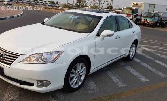 Comprar Importar Lexus ES Branco Carro em Import - Dubai em Bengo Province Comprar Importar Lexus ES Branco Carro em Import - Dubai em Bengo Province