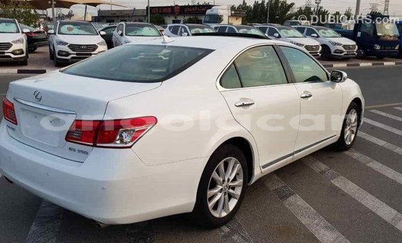 Comprar Importar Lexus ES Branco Carro em Import - Dubai em Bengo Province Comprar Importar Lexus ES Branco Carro em Import - Dubai em Bengo Province