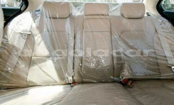 Buy New Kia Quoris Black Car in Luanda in Luanda Province Buy New Kia Quoris Black Car in Luanda in Luanda Province