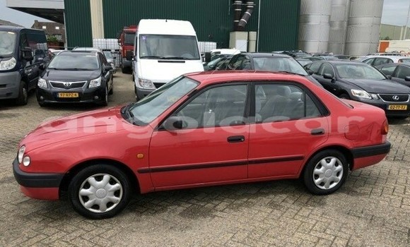 Buy Used Toyota Corolla Red Car in Luanda in Luanda Province Buy Used Toyota Corolla Red Car in Luanda in Luanda Province