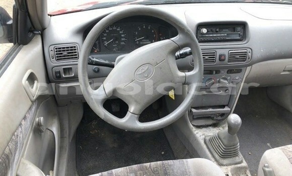 Buy Used Toyota Corolla Red Car in Luanda in Luanda Province Buy Used Toyota Corolla Red Car in Luanda in Luanda Province