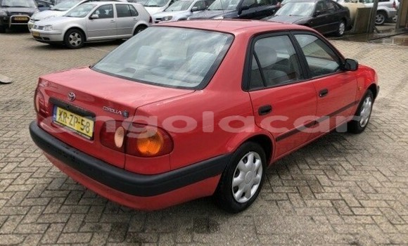 Buy Used Toyota Corolla Red Car in Luanda in Luanda Province Buy Used Toyota Corolla Red Car in Luanda in Luanda Province