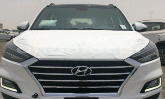 Comprar Novo Hyundai Tucson Branco Carro em Luanda em Luanda Province Comprar Novo Hyundai Tucson Branco Carro em Luanda em Luanda Province