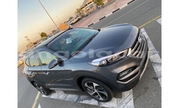 Comprar Importar Hyundai Tucson Outro Carro em Import - Dubai em Bengo Province Comprar Importar Hyundai Tucson Outro Carro em Import - Dubai em Bengo Province