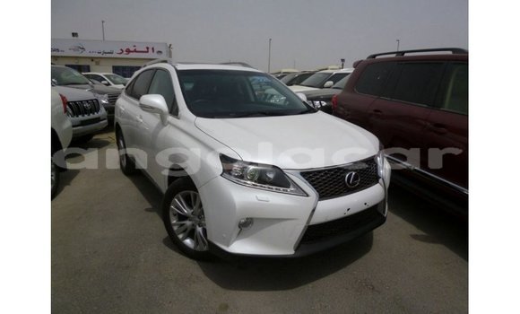 Comprar Importar Lexus RX 350 Branco Carro em Import - Dubai em Bengo Province Comprar Importar Lexus RX 350 Branco Carro em Import - Dubai em Bengo Province