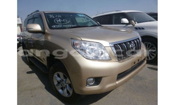 Comprar Importar Toyota Prado Outro Carro em Import - Dubai em Bengo Province Comprar Importar Toyota Prado Outro Carro em Import - Dubai em Bengo Province