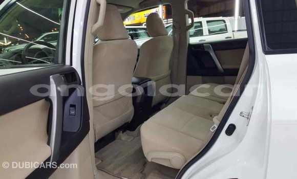 Comprar Importar Toyota Prado Branco Carro em Import - Dubai em Bengo Province Comprar Importar Toyota Prado Branco Carro em Import - Dubai em Bengo Province