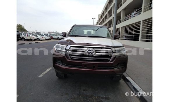 Buy Import Toyota Land Cruiser Brown Car in Import - Dubai in Bengo Province Buy Import Toyota Land Cruiser Brown Car in Import - Dubai in Bengo Province