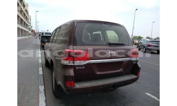 Buy Import Toyota Land Cruiser Brown Car in Import - Dubai in Bengo Province Buy Import Toyota Land Cruiser Brown Car in Import - Dubai in Bengo Province