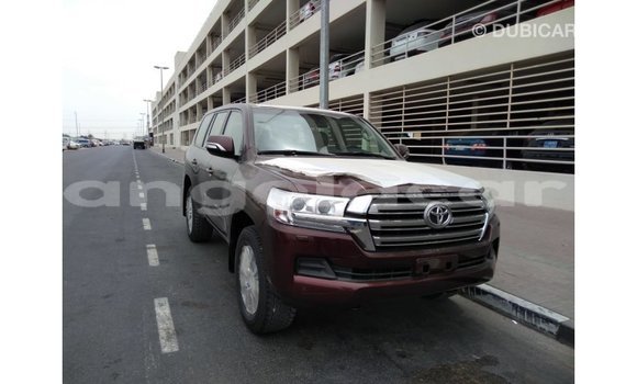 Buy Import Toyota Land Cruiser Brown Car in Import - Dubai in Bengo Province Buy Import Toyota Land Cruiser Brown Car in Import - Dubai in Bengo Province