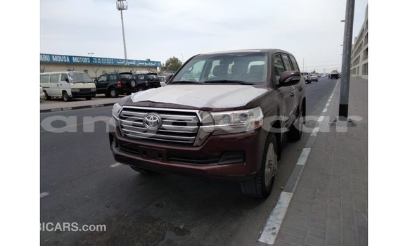 Buy Import Toyota Land Cruiser Brown Car in Import - Dubai in Bengo Province Buy Import Toyota Land Cruiser Brown Car in Import - Dubai in Bengo Province