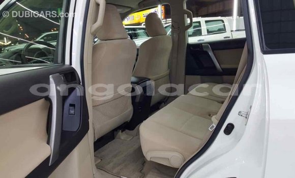 Comprar Importar Toyota Prado Branco Carro em Import - Dubai em Bengo Province Comprar Importar Toyota Prado Branco Carro em Import - Dubai em Bengo Province