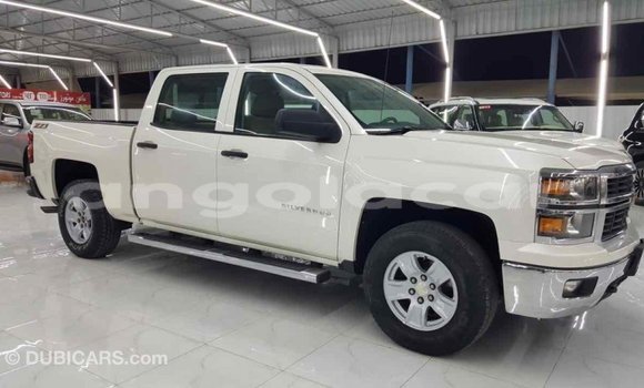 Comprar Importar Chevrolet Silverado Branco Carro em Import - Dubai em Bengo Province Comprar Importar Chevrolet Silverado Branco Carro em Import - Dubai em Bengo Province