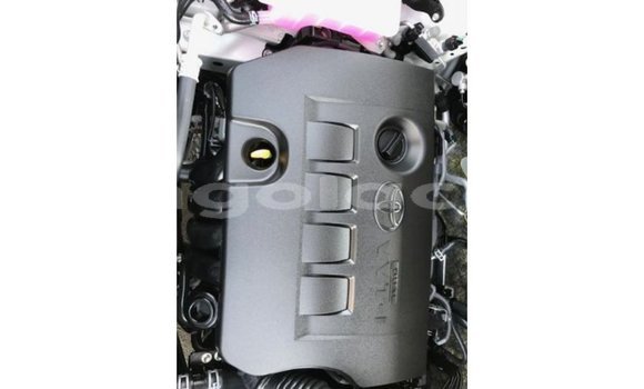 Comprar Importar Toyota 4Runner Branco Carro em Import - Dubai em Bengo Province Comprar Importar Toyota 4Runner Branco Carro em Import - Dubai em Bengo Province