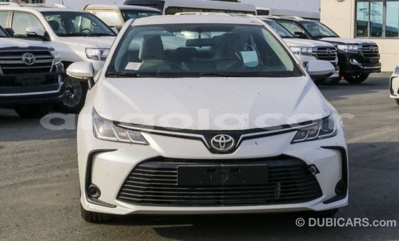 Buy Import Toyota Corolla White Car in Import - Dubai in Bengo Province Buy Import Toyota Corolla White Car in Import - Dubai in Bengo Province