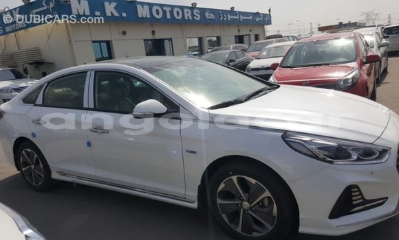 Comprar Importar Hyundai Sonata Branco Carro em Import - Dubai em Bengo Province Comprar Importar Hyundai Sonata Branco Carro em Import - Dubai em Bengo Province