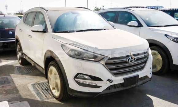 Comprar Importar Hyundai Tucson Branco Carro em Import - Dubai em Bengo Province Comprar Importar Hyundai Tucson Branco Carro em Import - Dubai em Bengo Province