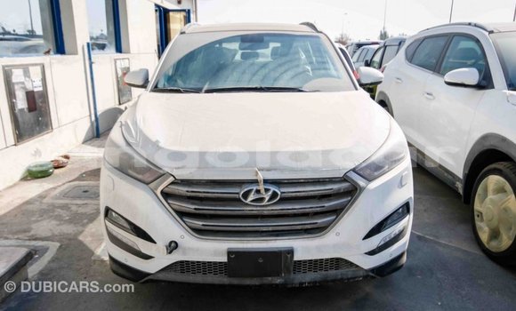Comprar Importar Hyundai Tucson Branco Carro em Import - Dubai em Bengo Province Comprar Importar Hyundai Tucson Branco Carro em Import - Dubai em Bengo Province