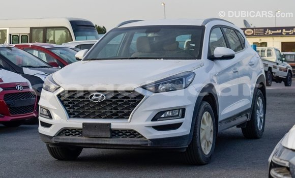Comprar Importar Hyundai Tucson Branco Carro em Import - Dubai em Bengo Province Comprar Importar Hyundai Tucson Branco Carro em Import - Dubai em Bengo Province