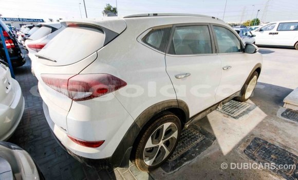 Comprar Importar Hyundai Tucson Branco Carro em Import - Dubai em Bengo Province Comprar Importar Hyundai Tucson Branco Carro em Import - Dubai em Bengo Province