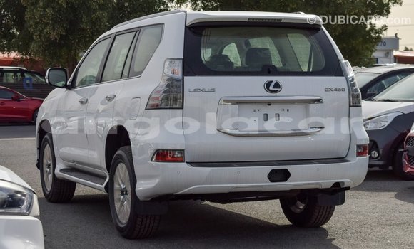 Comprar Importar Lexus GX Branco Carro em Import - Dubai em Bengo Province Comprar Importar Lexus GX Branco Carro em Import - Dubai em Bengo Province