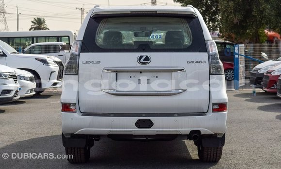 Comprar Importar Lexus GX Branco Carro em Import - Dubai em Bengo Province Comprar Importar Lexus GX Branco Carro em Import - Dubai em Bengo Province