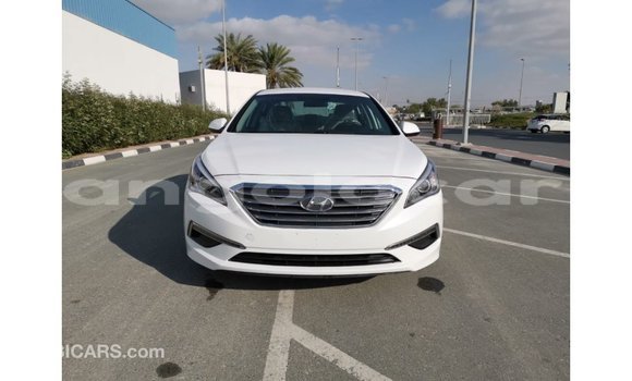 Acheter Import Voiture Hyundai Sonata Blanc à Import - Dubai, Province de Bengo Acheter Import Voiture Hyundai Sonata Blanc à Import - Dubai, Province de Bengo