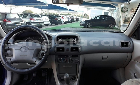 Buy Used Toyota Corolla Green Car in Luanda in Luanda Province Buy Used Toyota Corolla Green Car in Luanda in Luanda Province