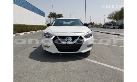 Acheter Import Voiture Nissan Maxima Blanc à Import - Dubai, Province de Bengo Acheter Import Voiture Nissan Maxima Blanc à Import - Dubai, Province de Bengo