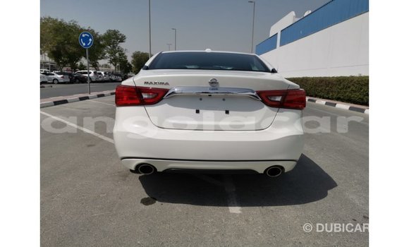 Acheter Import Voiture Nissan Maxima Blanc à Import - Dubai, Province de Bengo Acheter Import Voiture Nissan Maxima Blanc à Import - Dubai, Province de Bengo