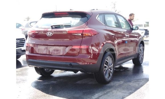 Buy Import Hyundai Tucson Red Car in Import - Dubai in Bengo Province Buy Import Hyundai Tucson Red Car in Import - Dubai in Bengo Province