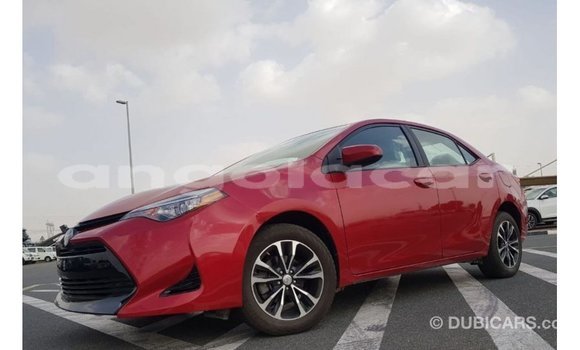 Buy Import Toyota Corolla Red Car in Import - Dubai in Bengo Province Buy Import Toyota Corolla Red Car in Import - Dubai in Bengo Province