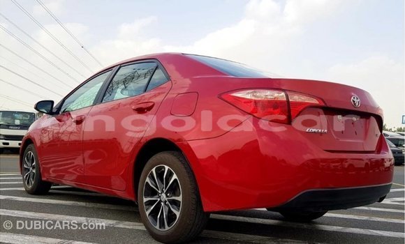 Buy Import Toyota Corolla Red Car in Import - Dubai in Bengo Province Buy Import Toyota Corolla Red Car in Import - Dubai in Bengo Province