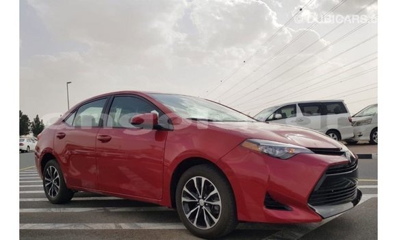 Buy Import Toyota Corolla Red Car in Import - Dubai in Bengo Province Buy Import Toyota Corolla Red Car in Import - Dubai in Bengo Province