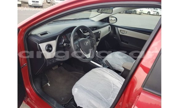 Buy Import Toyota Corolla Red Car in Import - Dubai in Bengo Province Buy Import Toyota Corolla Red Car in Import - Dubai in Bengo Province