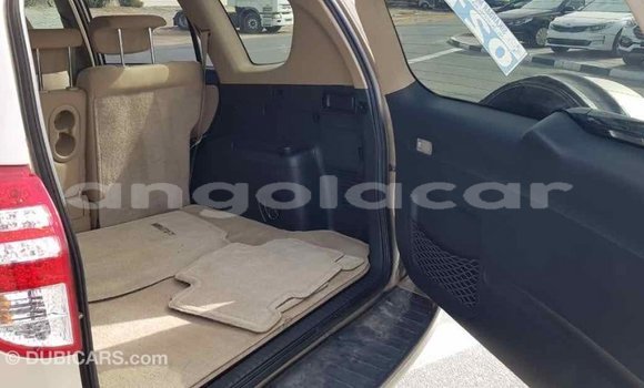 Comprar Importar Toyota RAV4 Outro Carro em Import - Dubai em Bengo Province Comprar Importar Toyota RAV4 Outro Carro em Import - Dubai em Bengo Province
