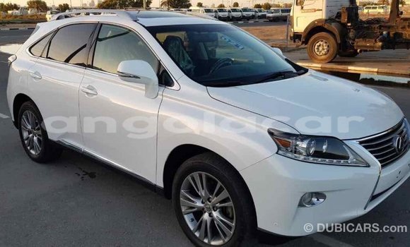 Comprar Importar Lexus RX 350 Branco Carro em Import - Dubai em Bengo Province Comprar Importar Lexus RX 350 Branco Carro em Import - Dubai em Bengo Province