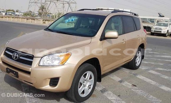 Comprar Importar Toyota RAV4 Outro Carro em Import - Dubai em Bengo Province Comprar Importar Toyota RAV4 Outro Carro em Import - Dubai em Bengo Province
